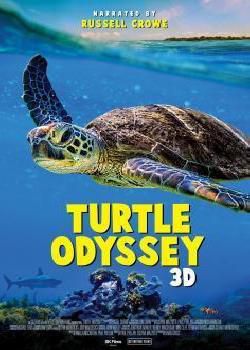Turtle Odyssey 纪录片海报剧照