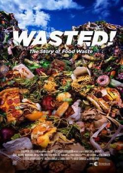 食物浪费的故事海报剧照