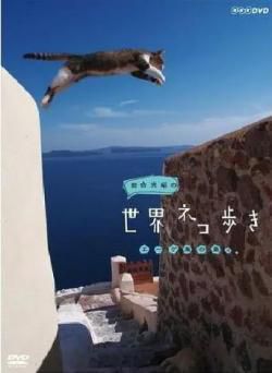 岩合光昭の猫步走世界~哥斯达黎加篇海报剧照