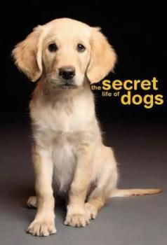 狗的秘密生活海报剧照