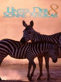 走进非洲8：蓬勃的生命海报剧照