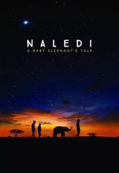 选择文件 纳勒迪：一只小象的故事海报剧照