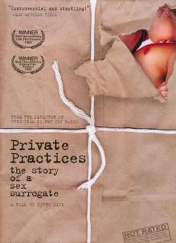 私人的实践：一位替身性伴侣的故事海报剧照