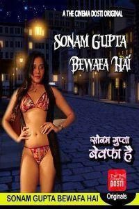 索南·古普塔（Sonam Gupta）不忠海报剧照
