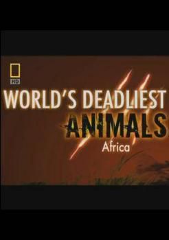 世界致命动物：非洲海报剧照