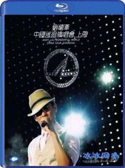 刘德华Wonderful World 2008中国巡回演唱会 上海站海报剧照