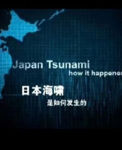日本海啸是如何发生的海报剧照