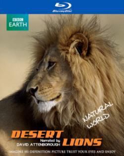 行星地球特别版：沙漠狮海报剧照