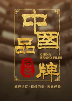 中国品牌档案海报剧照