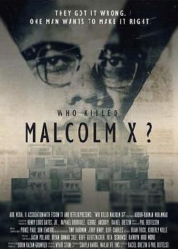 谁杀了马尔科姆X 第一季海报剧照