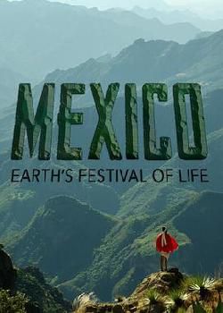 墨西哥：地球生命的狂欢海报剧照