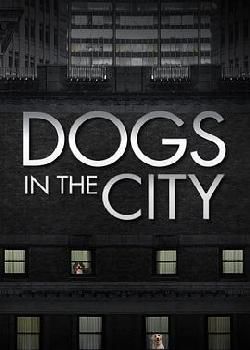 狗狗在都市第一季海报剧照