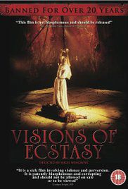 狂喜的幻象/Visions of Ecstasy海报剧照