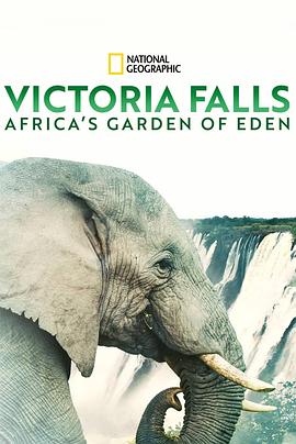 维多利亚瀑布：非洲的伊甸园海报剧照
