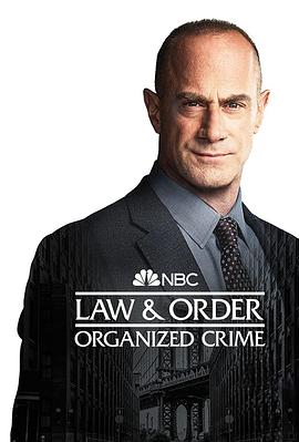 法律与秩序：组织犯罪第三季海报剧照