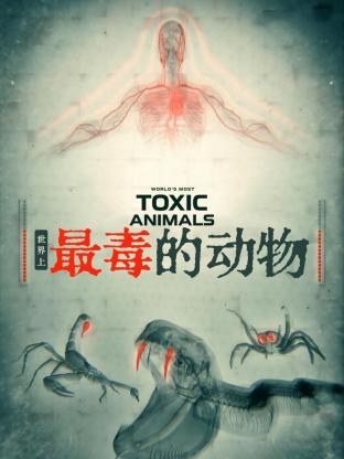 世界上最毒的动物海报剧照
