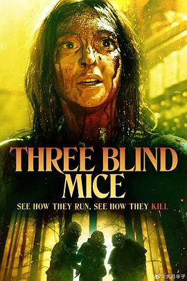 三只盲鼠 Three Blind Mice海报剧照